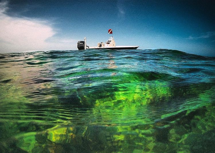 Reef Snorkeling