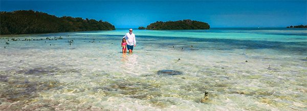 Watching Stingrays on The Flats