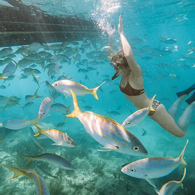 Girl snorkeling at Looe Key Reef with colorful marine life