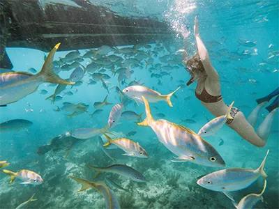 Girl snorkeling at Looe Key Reef with colorful marine life
